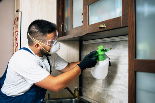 Best Commercial Pest Control Services  in Willow Park, TX