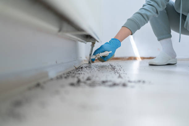 Best Best Pest Control Companies  in Willow Park, TX