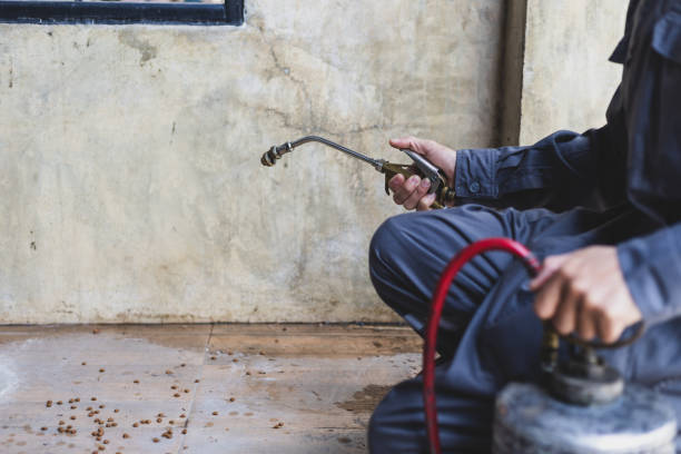 Best Local Pest Control Services  in Willow Park, TX